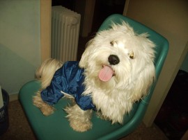 Max